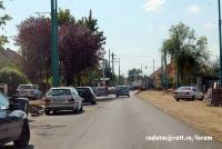 Imagine atasata: calea-girocului-6septembrie (17).JPG
